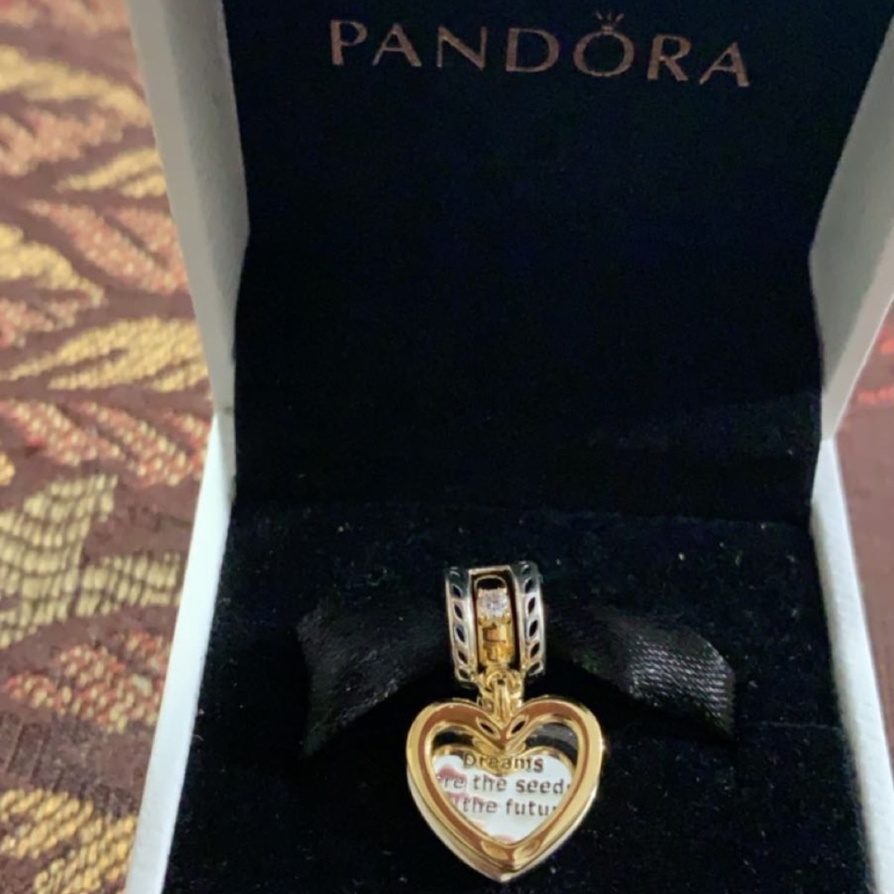 PANDORA BRACELET CHARM NEVER USED